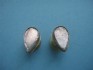 sterling silver earring combined 24 K dipt
