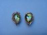 sterling silver earring combined with abalonuy