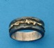 Titanium ring combined 14 K gold