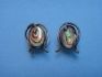 sterling silver earring combined with abalonuy