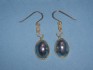 earring combined with mother of pearl and silver 24 K gold dipt