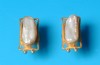 earring combined with pearl & silver 24 K gold dipt