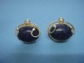 earring combined with sodulight & silver 24 K gold dipt
