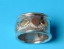 silver & gold ring combined with 14 K gild